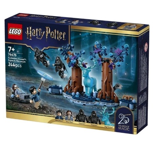 Lego harry potter - potter, forbidden