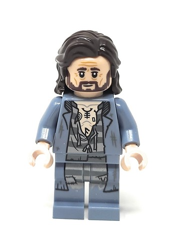 Lego harry potter sirius - harry,