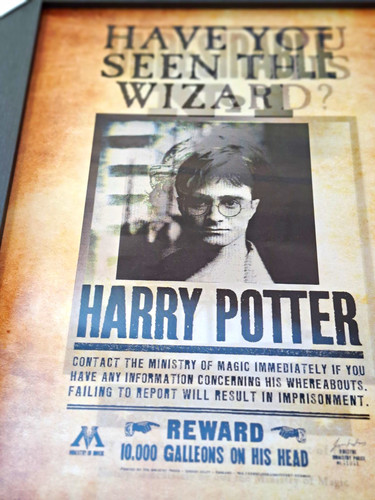 Harry potter framed print - potter,