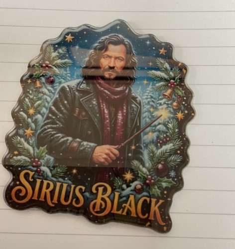 Harry potter christmas magnet - potter,