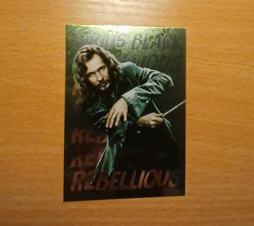 Panini harry potter - potter, always