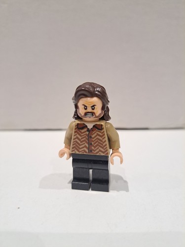Lego harry potter sirius - harry,