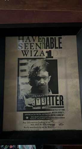 Harry potter framed - harry,